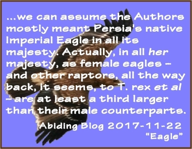 ...we can assume the Authors mostly meant Persia's native Imperial Eagle in all its majesty. Actually in all HER majesty, as female eagles -- and other reptors, all the way back, it seems, to T. Rex et al -- are at least a third larger than their male counterparts. #Majesty #Woman #AbidingBlog2017Eagle
